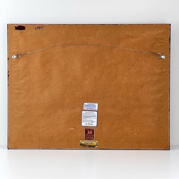 Vintage 1970s Panama Kuna Mola Indian Textile Tapestry Folk Art Two Birds Framed - Picture 7 of 11